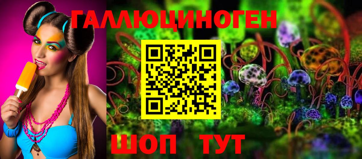 Псилоцибиновые грибы GOLDEN TEACHER  Вход с VPN  Новоалександровск  Галлюциногенные грибы ЛСД 